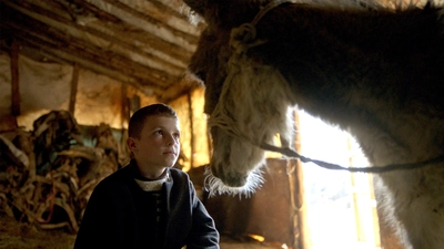 Un garçon et un âne se regardent dans les yeux.