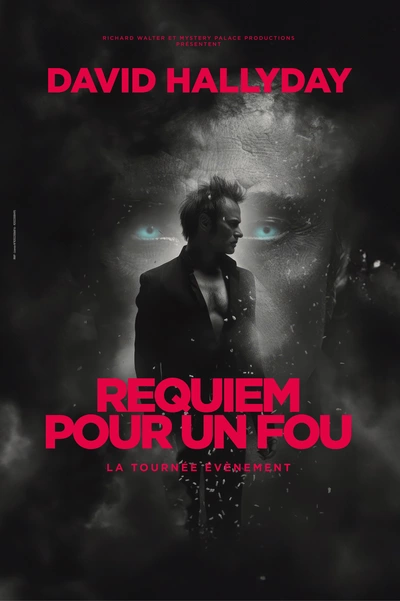 Affiche David Hallyday
