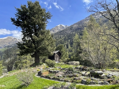 Rocaille avec chalet et montagne