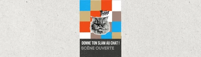 DONNE TON SLAM AU CHAT ! Une affiche colorée avec un chat au poils longs qui a l'ait fâché.