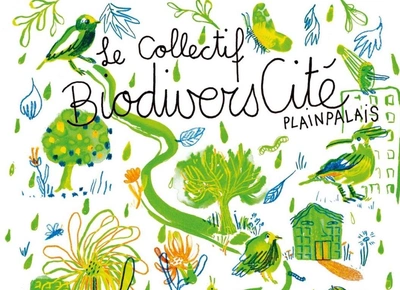 Illustration d'oiseaux en ville