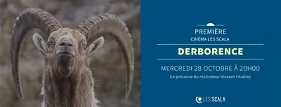 Premiere DERBORENCE - LE TEMPS DES ANIMAUX image du film