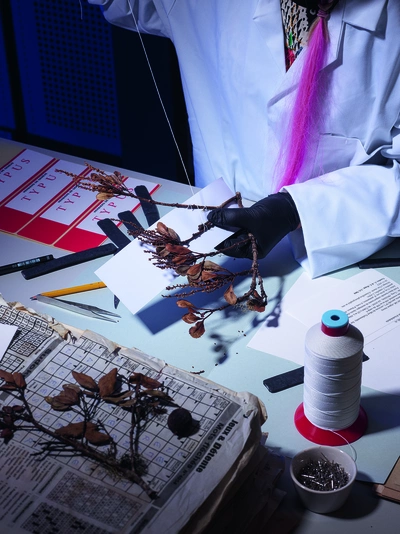 Montage d'une planche d'herbier