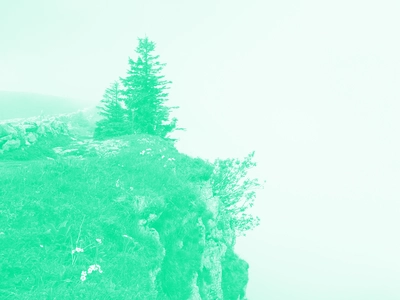 Insân C'est la photo d'un precipice avec un arbre et un peu de végétation. La photo a un filtre de couleur.