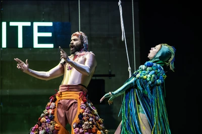 Deux interprètes du spectacle sur scène en costumes d'oiseaux