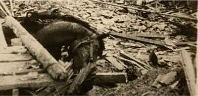 The bomb and the ICRC Yōsuke Yamahata (1917-1966) Cheval mort, Nagasaki, (détail)10 août 1945, collection Nicolas Crispini.