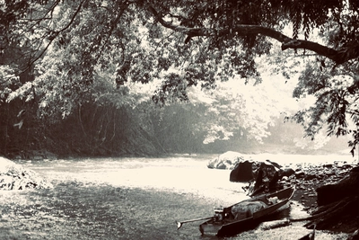 fleuve pirogue forêt tropicale