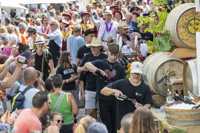 Sur cette image, plusieurs bénévoles sont en train de servir du vin. Ils sont installés à côté de grands tonneaux en bois, Ils versent du vin dans des verres avec attention et convivialité. Autour d’eux, une foule dense de personnes s’est rassemblée. Il s’agit d’un public varié discutant entre eux ou tendant leur verre pour une dégustation. L’ambiance semble animée, chaleureuse et festive.