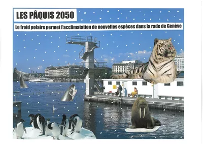 The Pâquis of the future bain des Pâquis, neige, morse, orque, pinguins