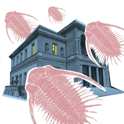 Illustration bâtiment du musée d'histoire des sciences et de trilobites