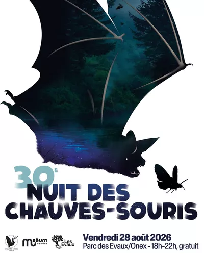 The Night of the Bats Affiche de chauves-souris