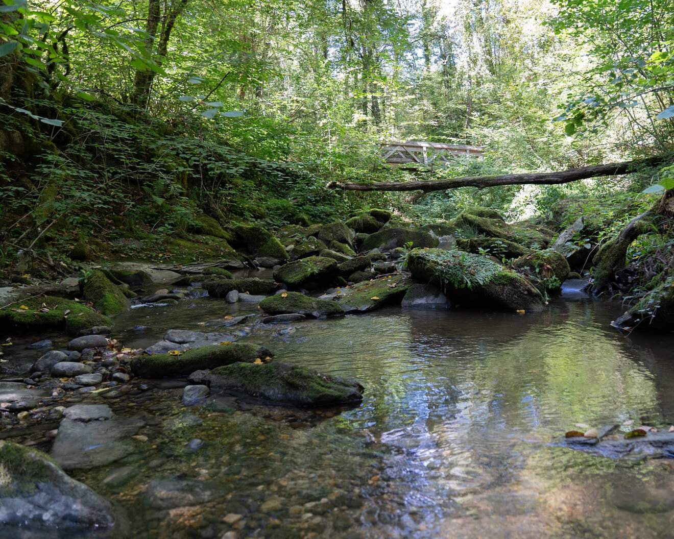 Rive droite | Geneva Tourism