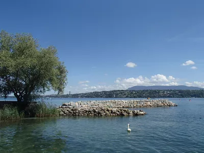 Photo de l'exposition Léman être vivant