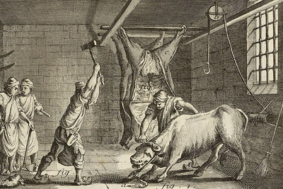 Was Voltaire a vegetarian? Encyclopédie, planche de l'article boucher
