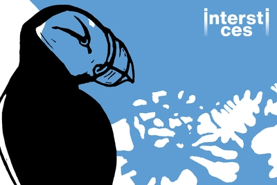 Gravure d'un macareux sur fond de carte du Pôle nord