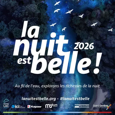 La nuit est belle | Programme du Musée d’histoire des sciences Image vue du ciel d'une rivière avec des oiseaux volant