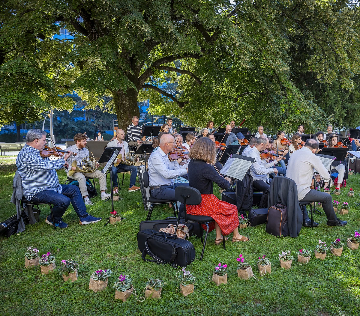 Concert au Jardin Botanique de Genève