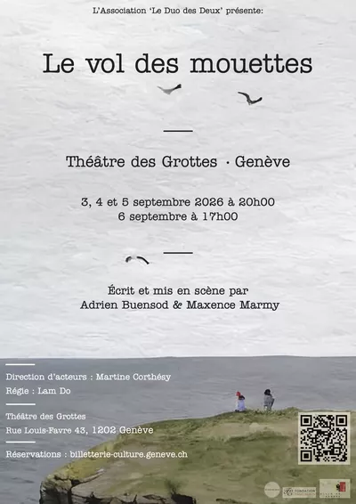 Des mouettes volent au dessus de la mer. On peut voir une falaise et deux personnes marchant côte à côte.