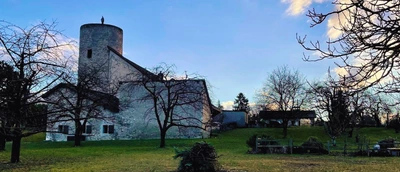 vue de la tour de Saconnex-d'Arve