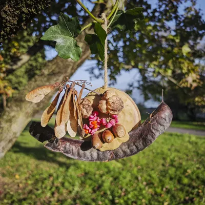 Autumn colours and plant structures Un escargot réalisé en landart par des enfants lors d'un précédent atelier.