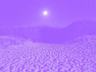 Toutes les femmes sont des aliens Une plage on voit le sable et la lune avec des arbres au fond. La photo a un filtre couleur.