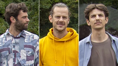 Je vois les trois musiciens