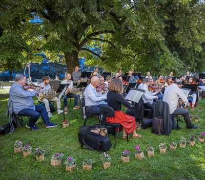 Concert at the Geneva Botanic Garden L’Orchestre de Chambre de Genève sous un arbre