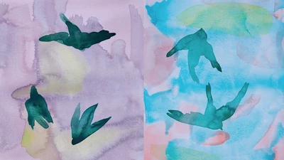 Deux aquarelles réalisées par Marie Ducaté : sur un fond coloré (violet/jaune pour la première, bleu/rose pour la deuxième), la forme de plusieurs oiseaux est représentée.