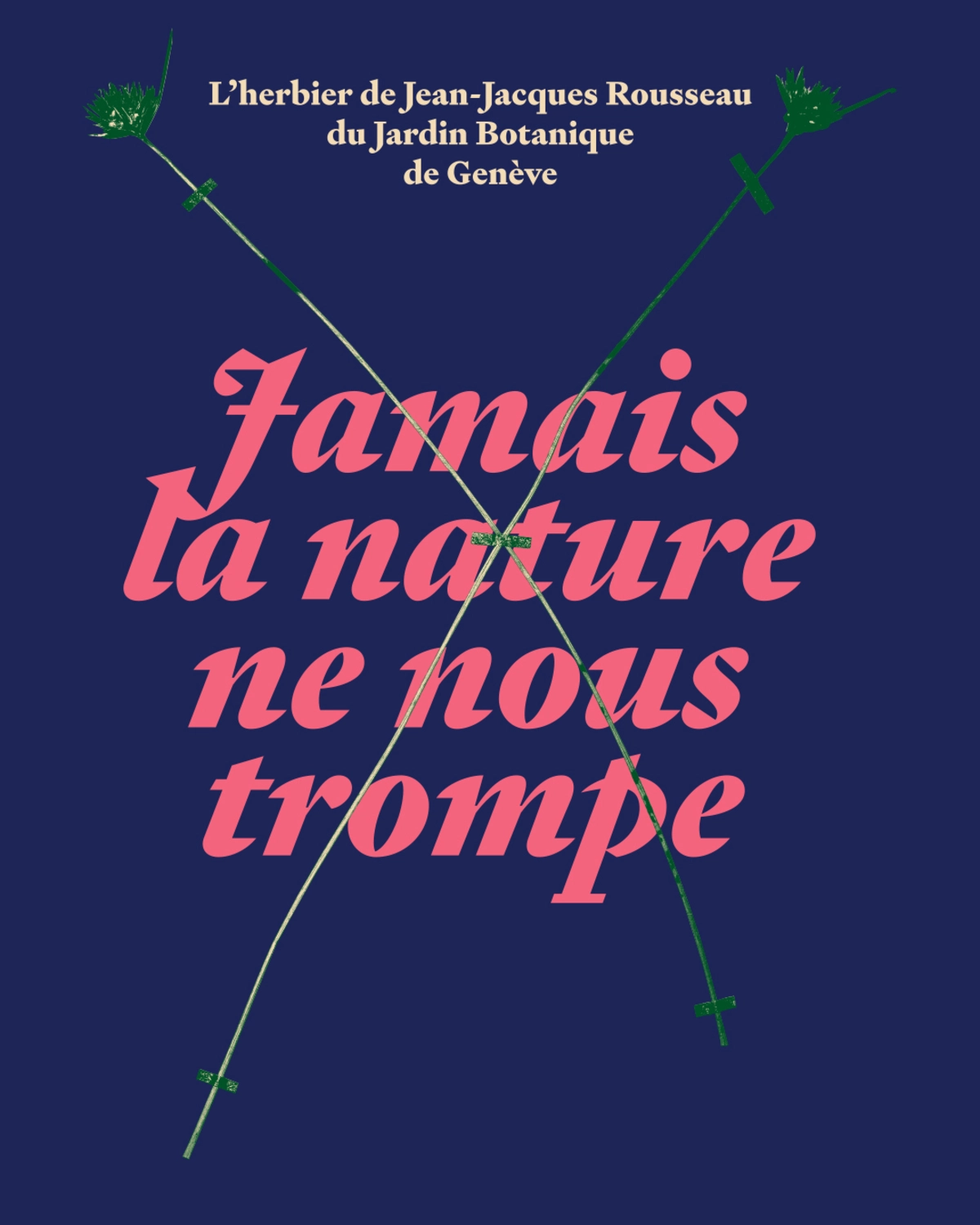 «Jamais la nature ne nous trompe»: l’herbier de Jean-Jacques Rousseau du Jardin botanique de Genève