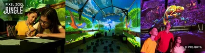 Pixel Zoo Jungle, an immersive adventure Photos illustrante de l'expériences immersive Pixel Zoo Jungle