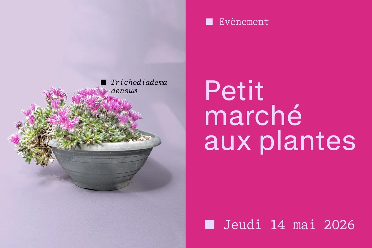 Le Petit marché aux plantes du Jardin Botanique de Genève