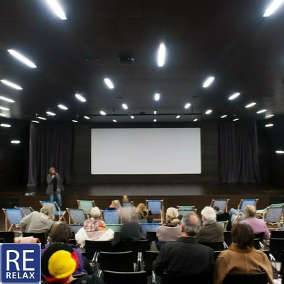 Photos d'une salle de projection au MEG avec un public de dos.