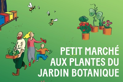 Photographie d'un stand de marché avec des plantes suspendues