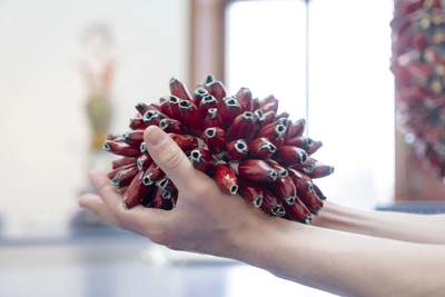 Extra-nature Une oeuvre en céramique rouge représentant une espèce végétale est portée par des mains.
