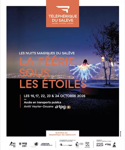 Vue sur Genève de Nuit avec des illuminations