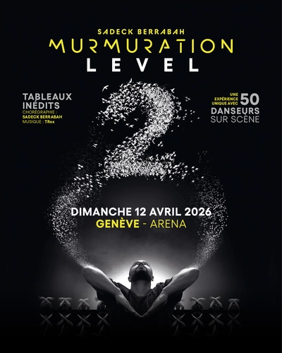 Affiche Murmuration