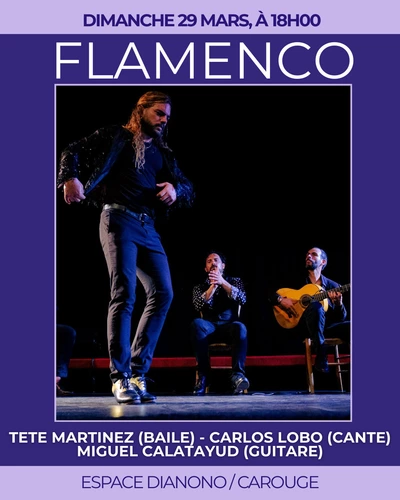 Concert & Spectacle de Flamenco à Diamono