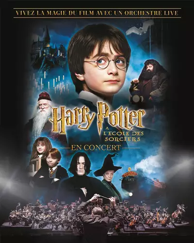 Affiche Harry Potter à l’École des Sorciers™