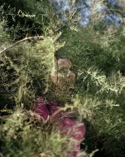 Image d'une femme, cachée derrière une plante pour masquer son identité
