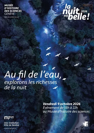 La nuit est belle | Programme du Musée d’histoire des sciences Image vue du ciel d'une rivière avec des oiseaux volant