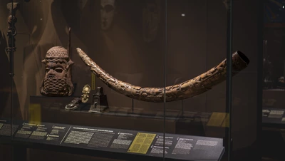 Vitrine du MEG montrant la défense en ivoire sculptée provenant du pillage de Benin City