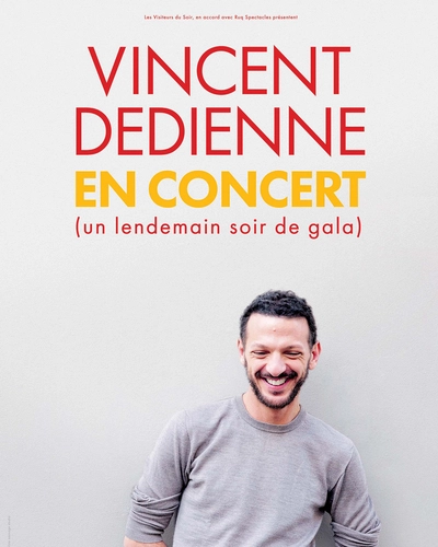 Affiche Vincent Dedienne