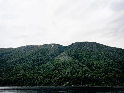 MALDOROR Photo d'une montagne verdoyante au bord de l'eau.