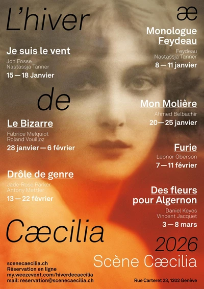 En fond, il y a un visage d'une dame des années 50. Sur l'affiche figure les sept spectacles qui vont se dérouler dans le cadre du festival