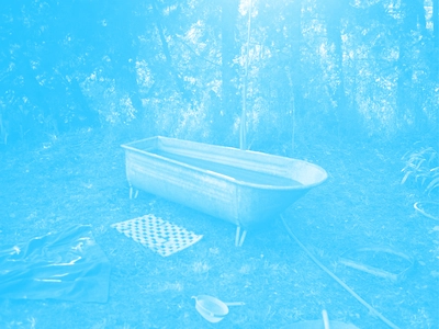 C'est la photo d'une baignoire abandonnée dans une fôret. La photo a un filtre de couleur.