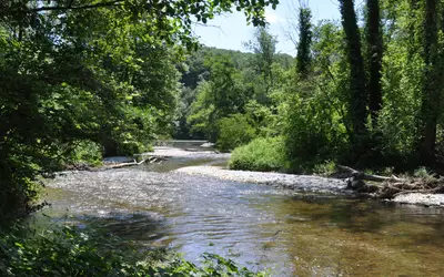 Image de la rivière Allondon