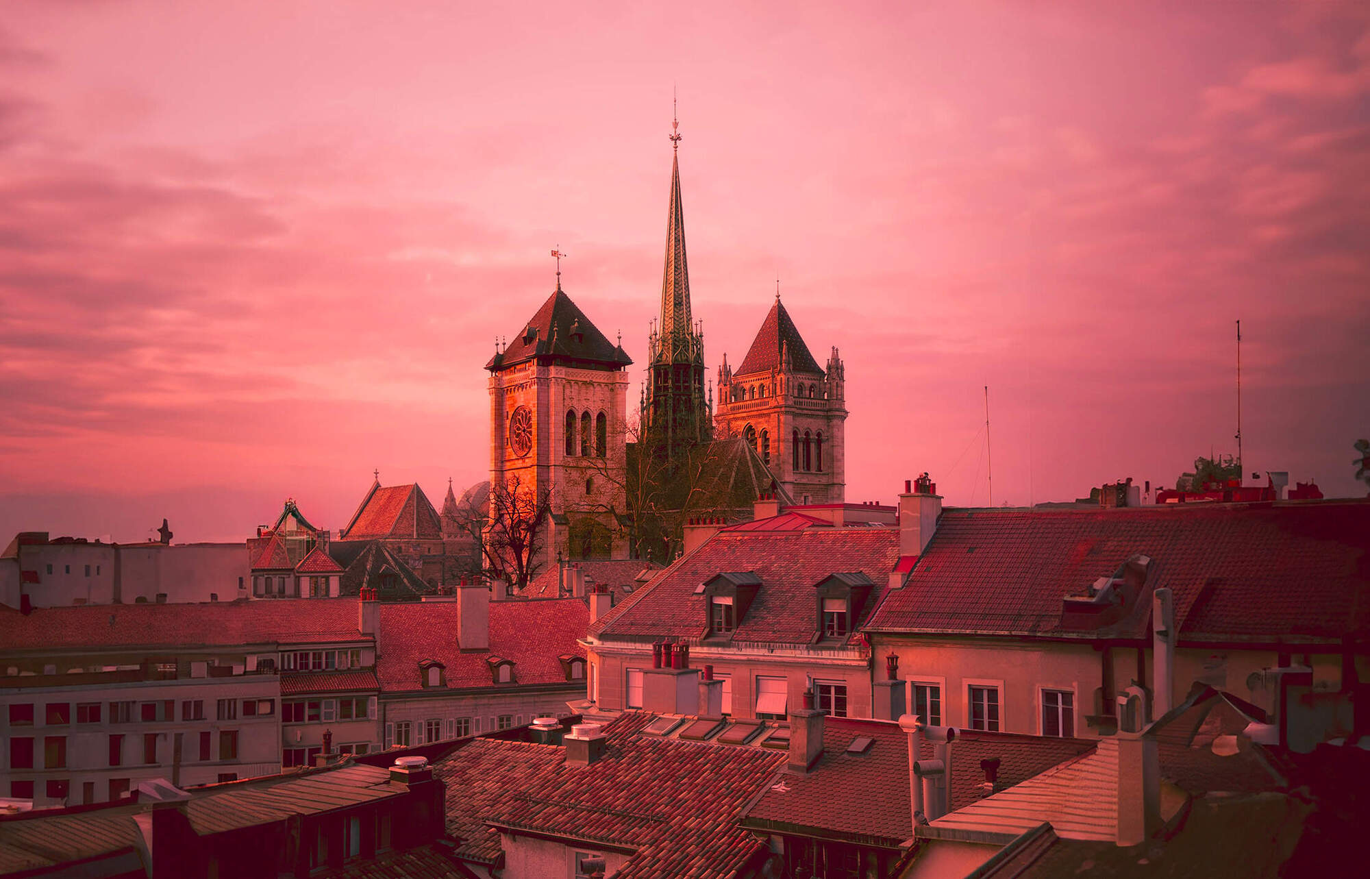 St. Peter's Cathedral