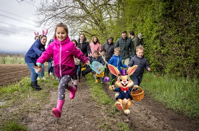 Chasse aux oeufs dans les vignes genève